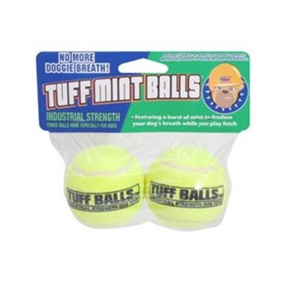 PetSport Fetch Tuff Mint Balls Dog Toys 2 Pack